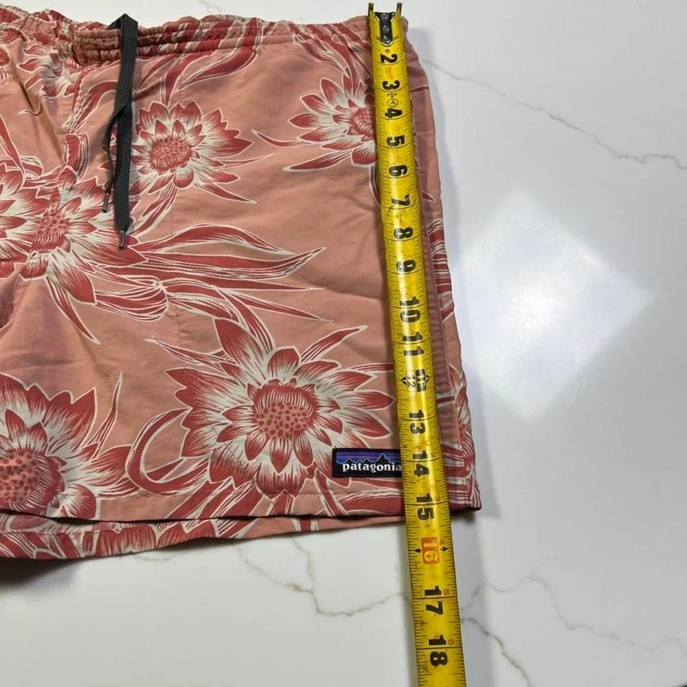 Patagonia baggies shorts